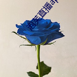 泡芙直播app導航