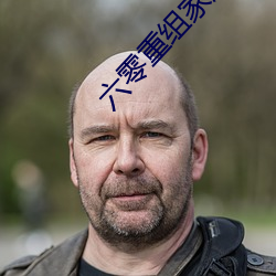 六(六)零重组家(家)庭