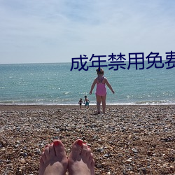 成年禁用免费直播软件