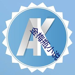 金梅(梅)瓶小说(說)