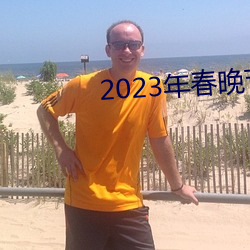 2023年春(春)晚(晚)节目单(單)完整(整)版