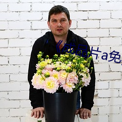 《成品(品)片(片)a免费人口》