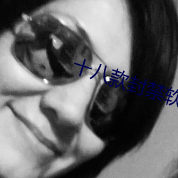 十八款封禁軟件