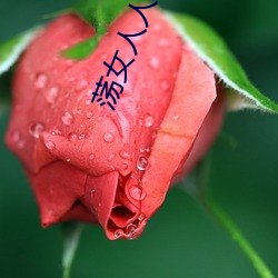 蕩女人人愛