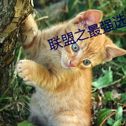 vwin·德赢(中国) - 官方网站