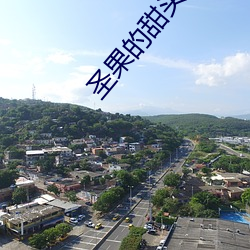 AG真人平台(中国)官方网站