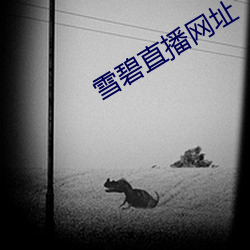 米乐M6·(中国)官方网站