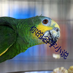 AG真人平台(中国)官方网站