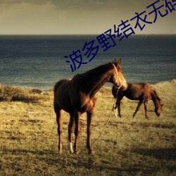 波多野结衣无码 （情妇）