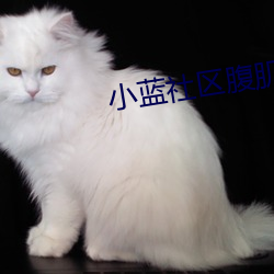 九游会登录j9入口 - 中国官方网站 | 真人游戏第一品牌