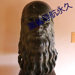 黑鲨导(dǎo)航(háng)永(yǒng)久(jiǔ)