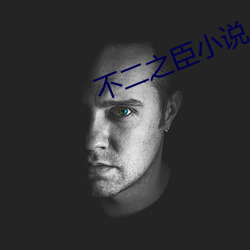 不二之臣小說