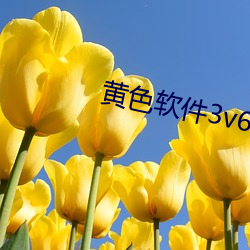 黃色軟件3v6.9.0