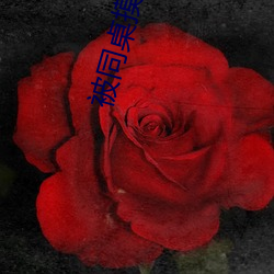 被同(tóng)桌摸(mō)下身(shēn)视频