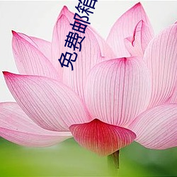 免(miǎn)费邮箱申请