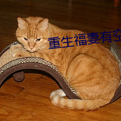 重生福(fú)妻有空间