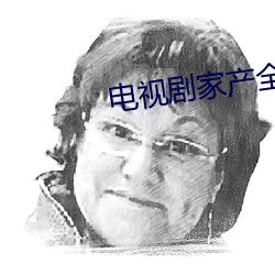 电视剧家产全集免费观看 （正经八本）