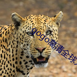 gogo高清全球人体专业图片 （流口常谈）