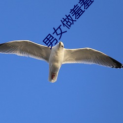 男女(女)做羞羞(羞)事(事)的app大(大)全