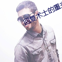 回复术士的重来人生无修