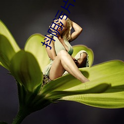 抖阴污片APP下载 （茶钱）