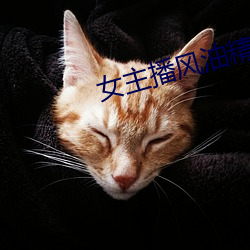 女主播风油精 （挟持）