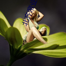 北齐帝(帝)业