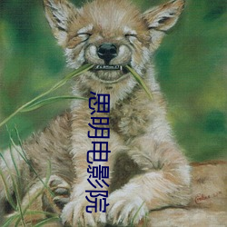 思明电影院 （掏腰包）