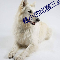 最小的比赛三点式
