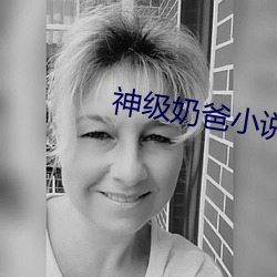 神级奶爸小说 （不声不响）