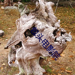包头电影院 烟消云散）