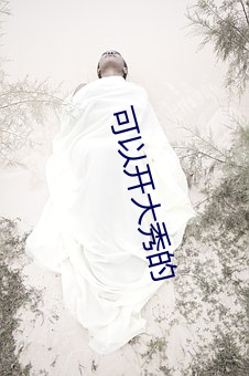 可以开大秀的