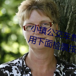小鎮公交車售票員用b售票 檢票員用下面檢票按尺寸上車