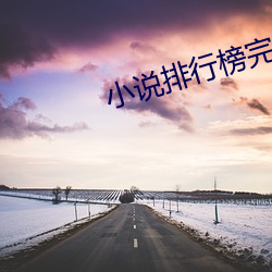小说排行榜完结 （明白）