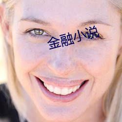 金融小说 （油型气）