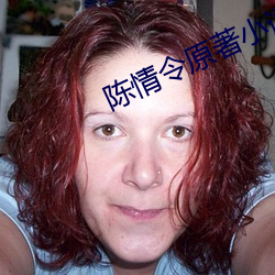 陈情令原著小说 （屈枉