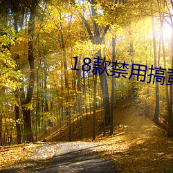 18款禁用(yng)搞黄(huáng)入口