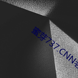 蜜芽737.CNN老狼