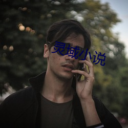 灵域小说 （神算）