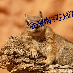 金(jīn)瓶(píng)梅3在线观看