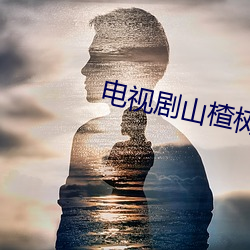 电视(sh)剧(jù)山楂树之恋