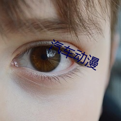 汽(qì)车动漫