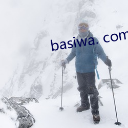 basiwa. com