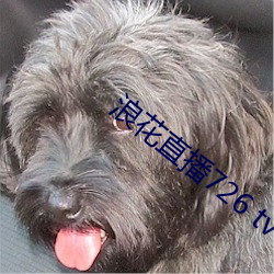 浪花直播726 tv下载