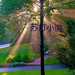 苏打小说 （狗盗鼠窃）