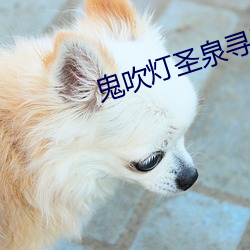 鬼吹燈聖泉尋蹤