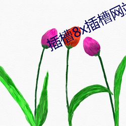 插槽8x插槽网站(zhàn)