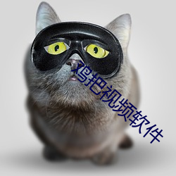 雞把視頻軟件