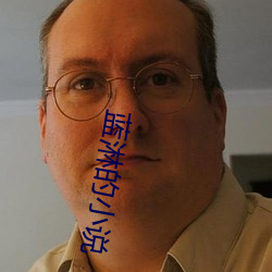 蓝淋的小说