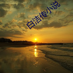 白(bái)洁传小(xiǎo)说